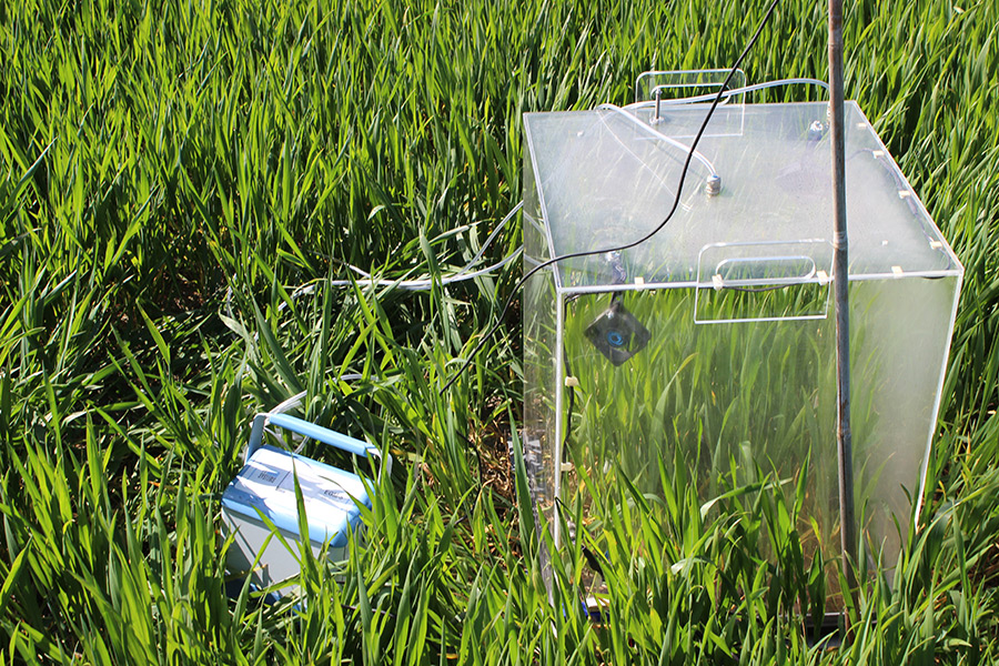 Die tragbare Gaswechselkammer wird zur Messung der Wassernutzungseffizienz von Pflanzenbeständen im Feld eingesetzt. (Foto: IAPN)
