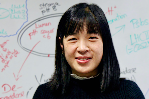 Tingting Liu starts PhD project on magnesium and drought stress | News of April 12th 2020 